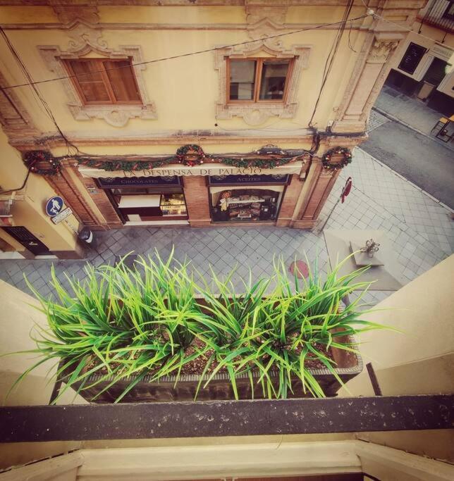 Estudio Centro De Sevilla Eksteriør bilde